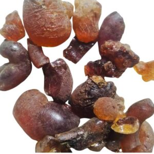 Murungai Pisin 25g