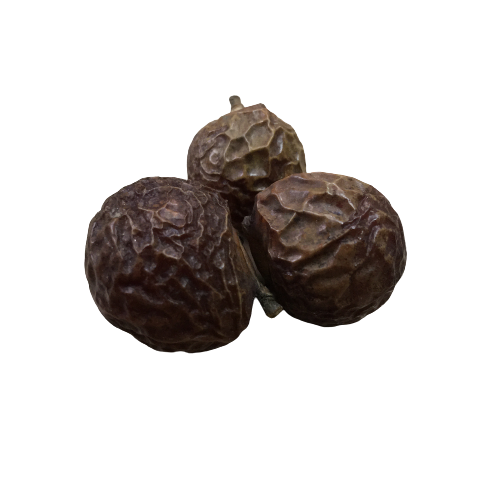 Boondhikottai/Soapnut<br>(பூந்திகொட்டை)<br>100g