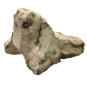 Parangi Chakkai/China root<br>(பரங்கி சக்கை)<br>50g