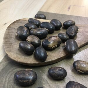 Velvet Bean/<br>Poonaikaali Seeds<br>(பூனைகாலி விதை)<br>50g
