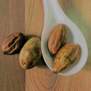 Kadukkai<br>(கடுக்காய்)<br>100g