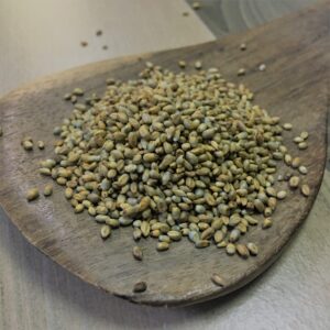 Naattu Kambu/<br>Pearl Millet<br>(நாட்டு கம்பு)<br>100g