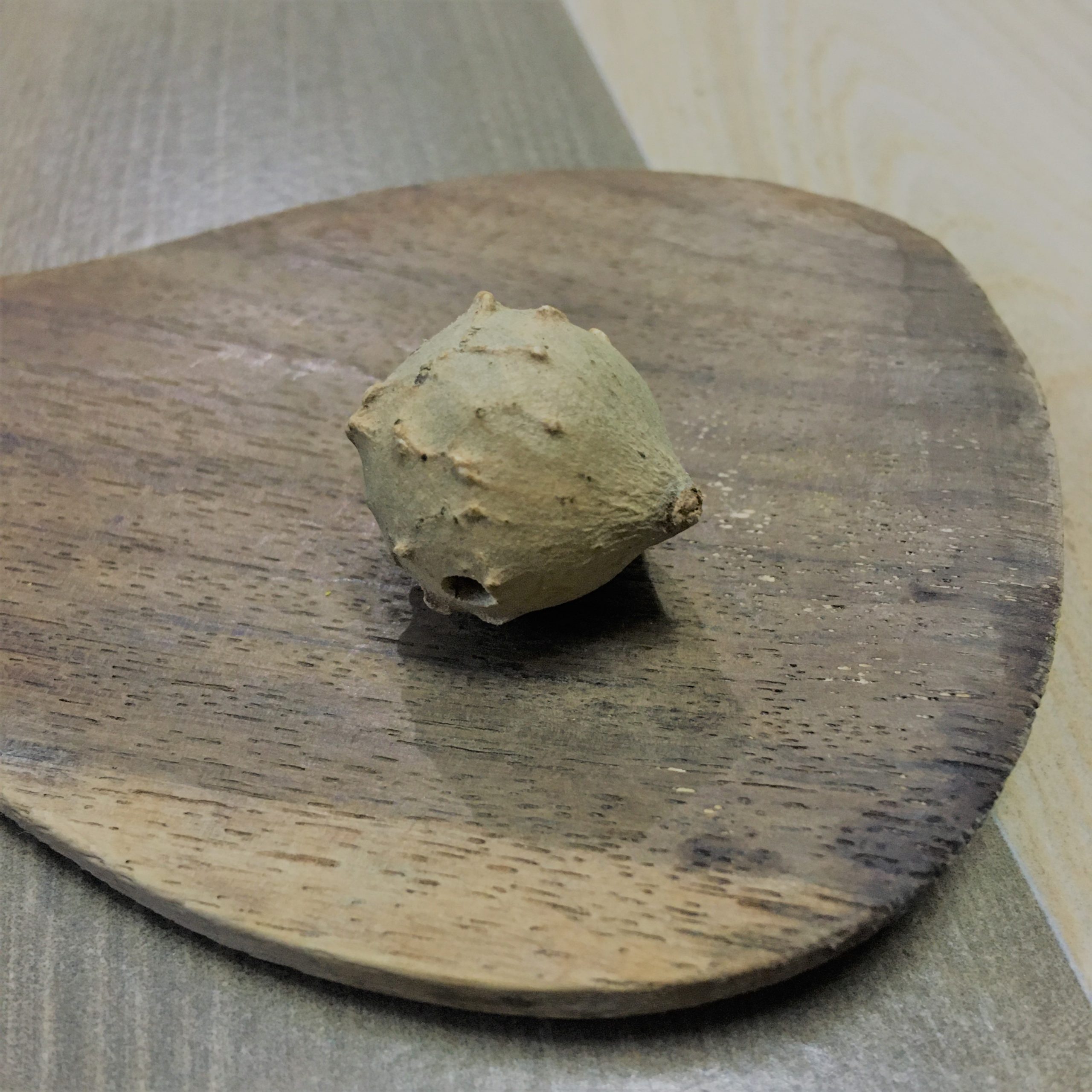 Maasakkaai/Masikaai<br>(மாசக்காய்/மாசிக்காய்)<br>50g