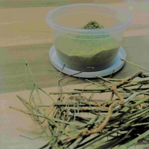 Nilavembu Powder<br>(நிலவேம்பு பொடி)<br>25g