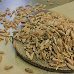 Samba Wheat<br>(சம்பா கோதுமை)<br>100g