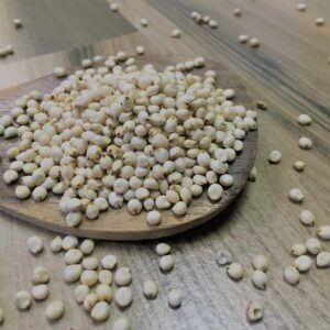 White Sorghum/<br>Vellai Solam<br>(வெள்ளை சோளம்)<br>100g