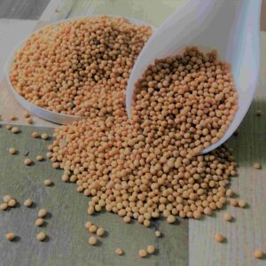 Yellow Mustard/<br>Venkadugu<br>(வெண்கடுகு)<br>100g